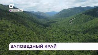 О методах борьбы с браконьерами на территории Сихотэ-Алинского заповедника рассказали госинспекторы