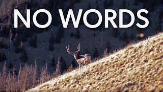 "NO WORDS" Colorado High Country Mule Deer Hunt