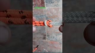Rope knots,how to tie a knot,knots for camping,rope work,#diy #rope #shorts #bowline🪢
