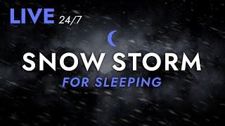  Fall Asleep to Snow Storm Sounds for Sleeping - Dimmed Screen | Live Stream - Blizzard Sounds