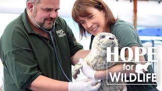 Hope for Wildlife Season 10 | Knowledge Network