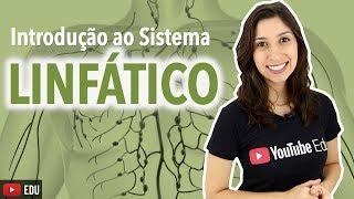 Sistema Linfático 1/4: Introdução | Anatomia e etc