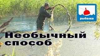 Необычный способ ловли на удочку в ряске_отчёт о рыбалке