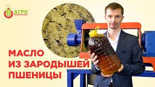 Масло из зародышей пшеницы. Отжимали на маслопрессе AP-500.