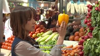 Innovative Dutch horticulture: new technologies to feed the world population