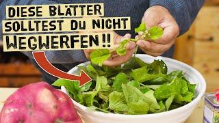 Nicht wegwerfen! Die Blätter von Süßkartoffeln sind eine Delikatesse! So kochst du mit ihnen.