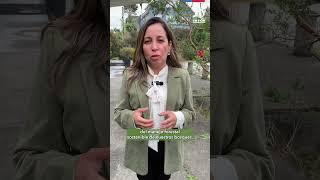 Directora Ejecutiva de INFOR destaca el trabajo del equipo del Inventario Forestal Nacional
