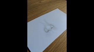 How To Draw A Nose Part 2 By EdgarsArt