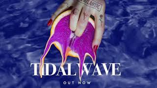 Chase Atlantic - Tidal Wave (Official Lyric Video)