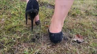 Muddy Heels Grass Sinking #shorts