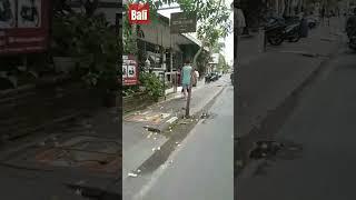 Mulai dulu Canggu di kenal dgn sebutan kampung bule#infobali #