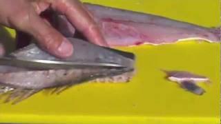 How to clean Sea Trout by Captain Vincent Russo