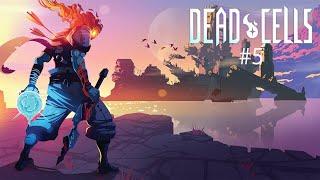 В КРЕМАТОРИЙ НЕ НАГОЙ: Dead cells #5