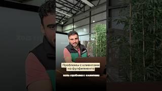 Клиенты не воспринимают фулфилмент всерьез  а твой фулфилмент влияет на твои продажи? #фулфилмент