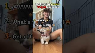 Cutest "Wiggle your ears"Part 6