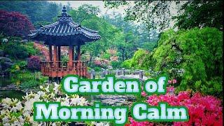 Garden of Morning Calm.#GardenofMorningCalm