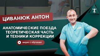 Анатомические поезда. Теоретическая часть и техники коррекции. Циванюк Антон Владимирович