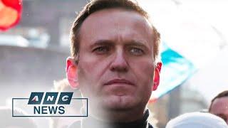 Protests planned across Russia to save Navalny's life | ANC