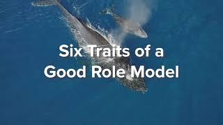 Six Traits of a Good Role Model