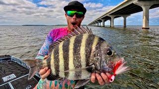 BIRTHDAY Catch Cook Camp- HUGE Personal Best Sheepshead!!