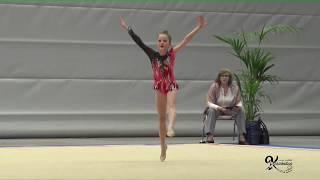 Performances gymnasts