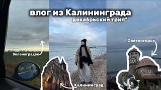 ВЛОГ ИЗ КАЛИНИНГРАДА️ // поездка на море // Куршская коса и область