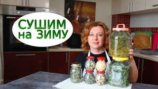 Как заготовить АРОМАТНУЮ ЗЕЛЕНЬ на зиму! ОБАЛДЕННЫЕ СМЕСИ и мои СПОСОБЫ СУШКИ