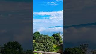 sajek vally #song #arijitsingh #hindisong #love #coversong