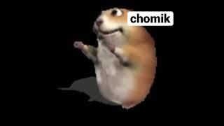 chomik