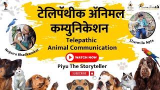 Telepathic Animal Communication|Paw Shadows| Sharmila Apte & Nupura Bhadkamkar #animalcommunication