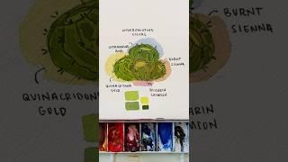 Watercolor underpainting color options #watercolortutorial #watercolorpainting #watercolor