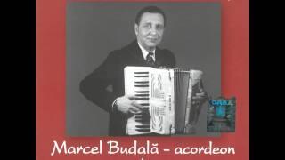 La culesul viilor - Marcel Budală