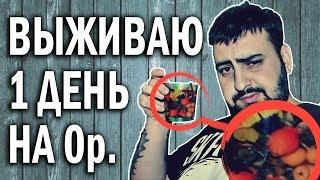 КАК ПРОЖИТЬ ЦЕЛЫЙ ДЕНЬ НА 0 РУБЛЕЙ! проверяем лайфхаки slivkishow \ жирный