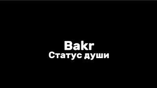 Bakr—статус души|текст песни (lyrics)