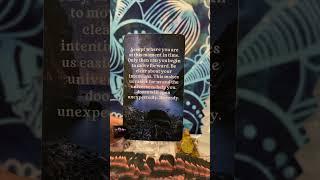 Fire  Signs #firesigns           #recommended #upnext #viralshorts  #tarot #astrology #iamdeeann