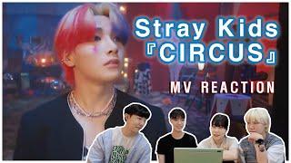 Stray Kids 『CIRCUS』 | MV reaction | Korean Dance Team's