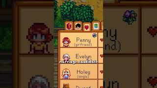 Stardew Valley Friendship- SDU #stardewvalley #stardew