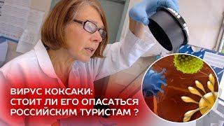 Вирус Коксаки: стоит ли его опасаться российским туристам