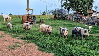 VIDA NO CAMPO É ASSIM MESMO.