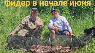 #fishing  Удивительные поклевки: рыбалка на фидер на реке  Шача