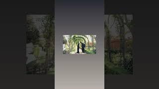 Armen Aloyan - New -2023