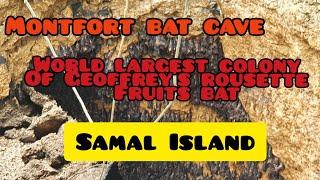 MONFORT BAT CAVE  (GUINNESS WORLD RECORDS) Samal Island | Juliames vLog