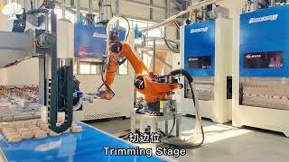 Fully Automatic Compostable Sugarcane Bagasse Pulp Molding Food Containers Packaging Making Machine