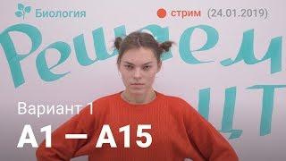 ЦТ по биологии А1-А15 (Вариант 1)