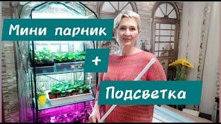 Парник-стеллаж и бюджетная подсветка#стеллаж#лампы#гортензия