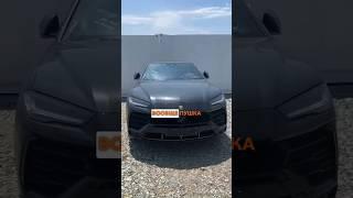 Привезли растаможили Lamborghini Urus и BMW 7 из Кореи #автоизкореи