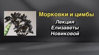 Агротехника катасетумов, кловесетумов и цимбидиумов в домашних условиях! 