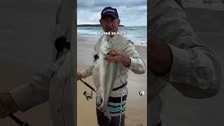 This is why I don’t use braid fishing line!