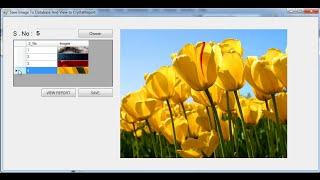 C# Copy images to Database After View  Picturebox and crystalreports  Part I