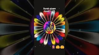 surah qiyam quran hindi translation
